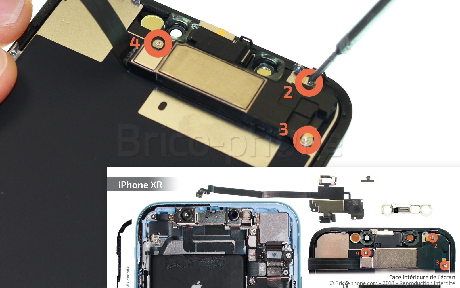 Changement du haut-parleur interne sur iPhone XR photo 3