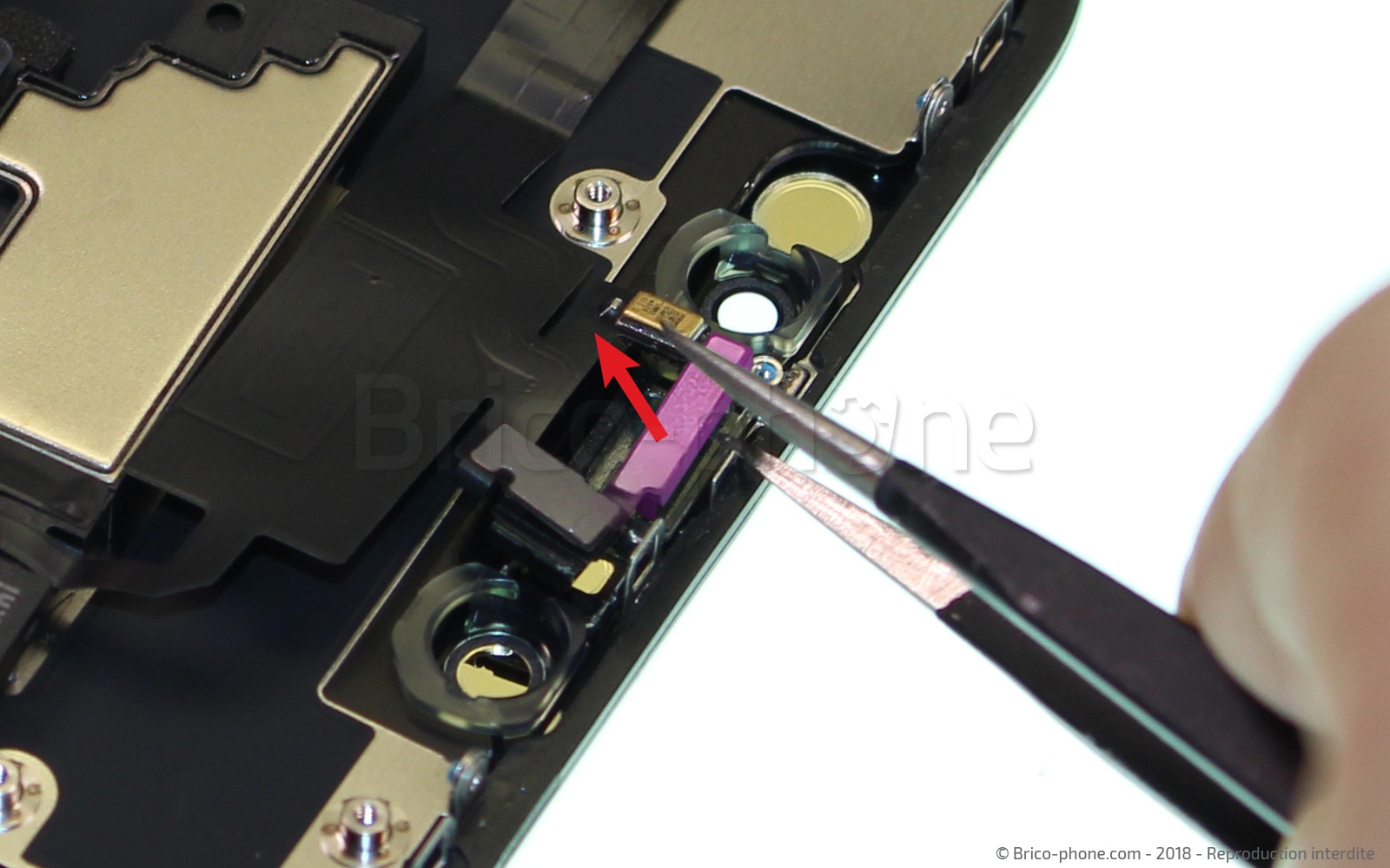 Changement du haut-parleur interne sur iPhone XR photo 3