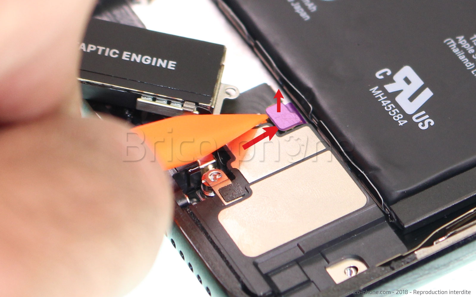 Démontage complet sur iPhone X photo 4