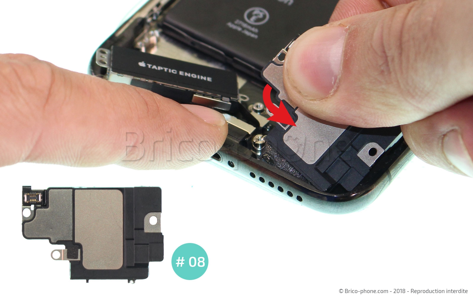 Démontage complet sur iPhone X photo 2