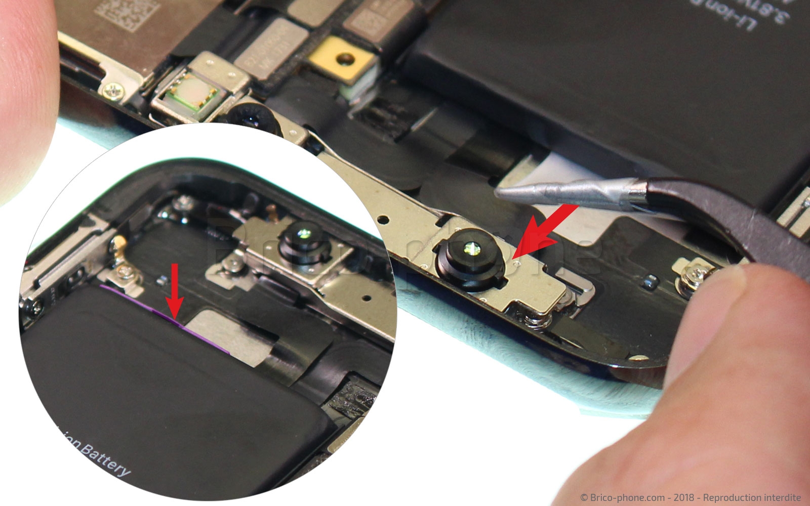 Démontage complet sur iPhone X photo 4