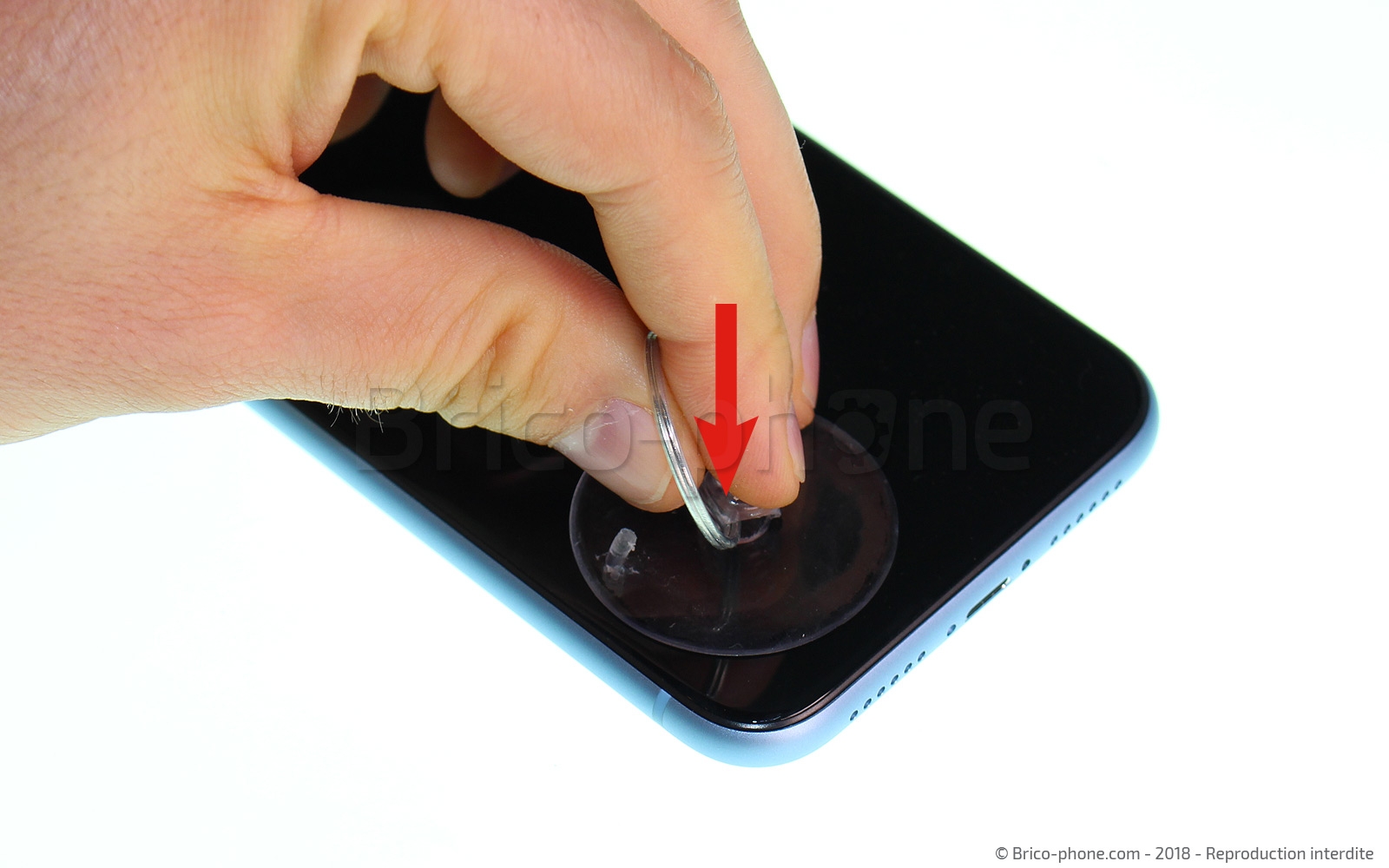 Changement du connecteur de charge sur iPhone XR photo 2