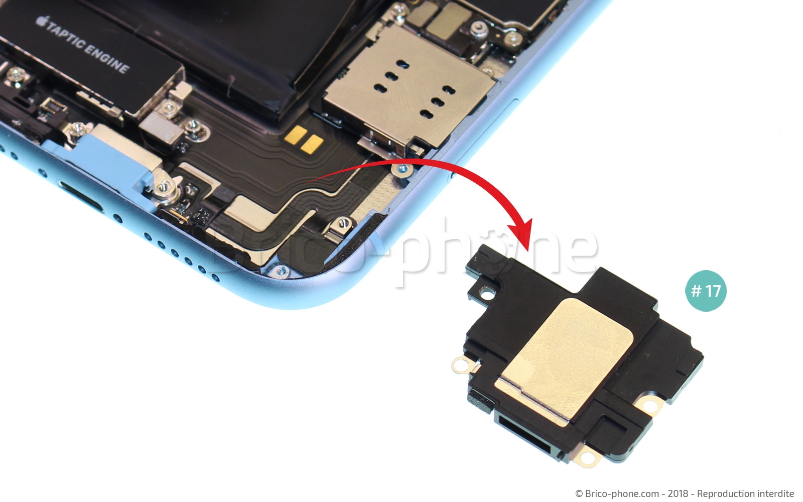 Changement du connecteur de charge sur iPhone XR photo 4