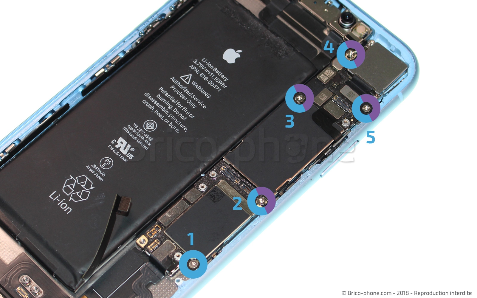 Changement du connecteur de charge sur iPhone XR photo 1