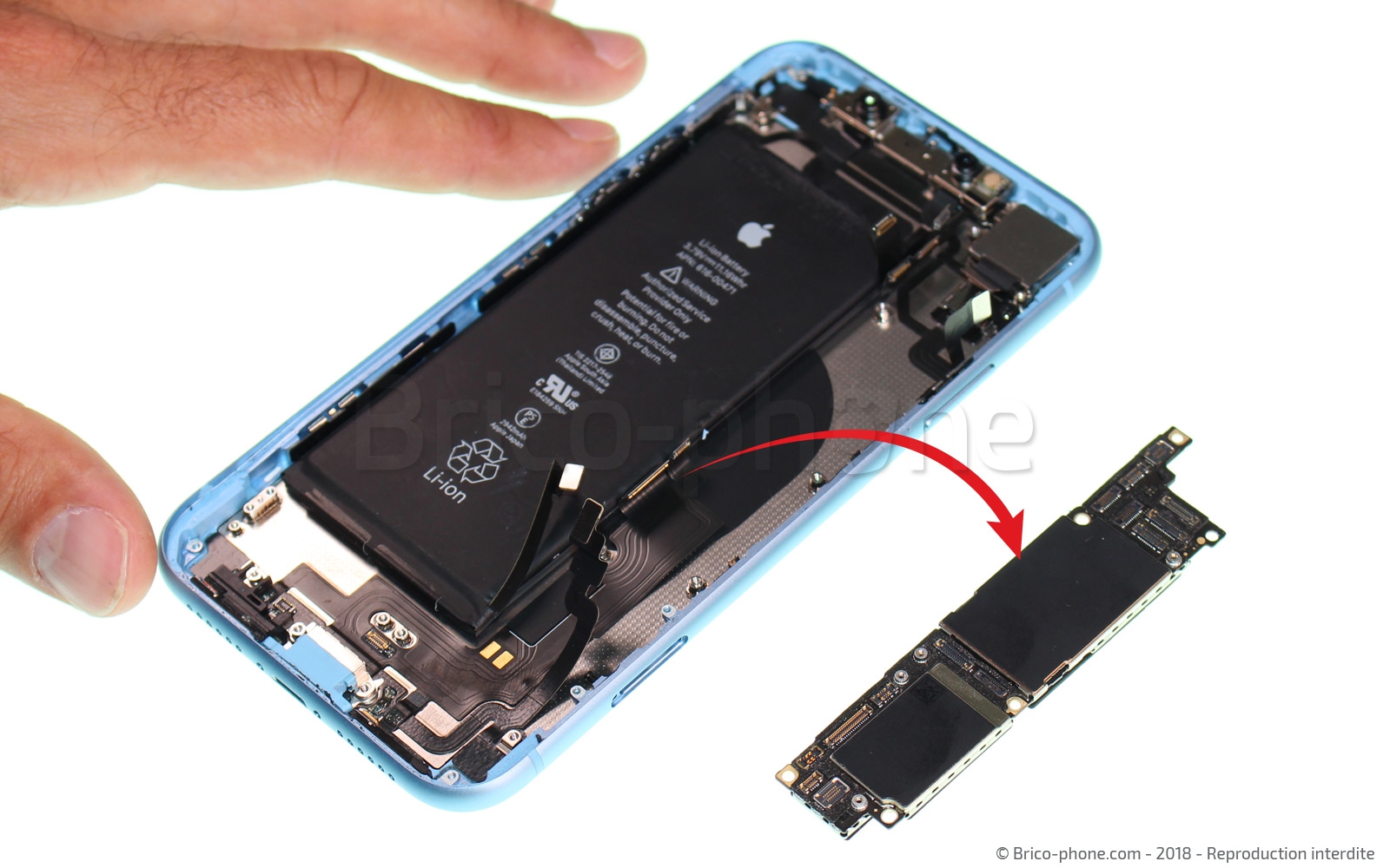 Changement du connecteur de charge sur iPhone XR photo 2