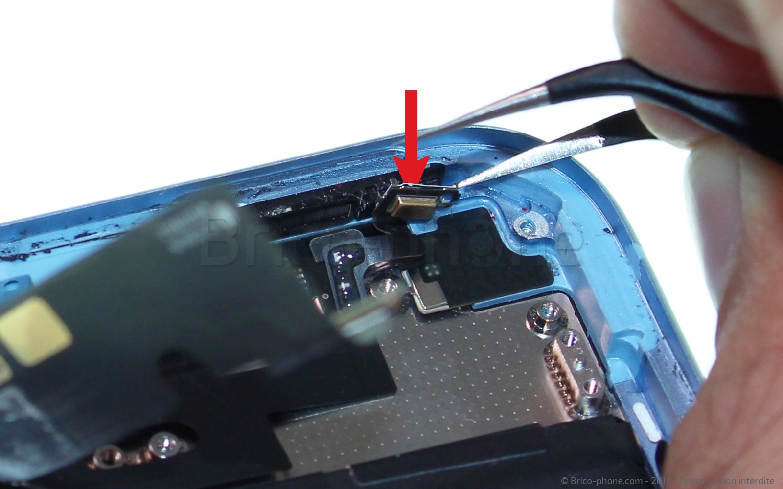 Démontage complet  sur iPhone XR photo 1