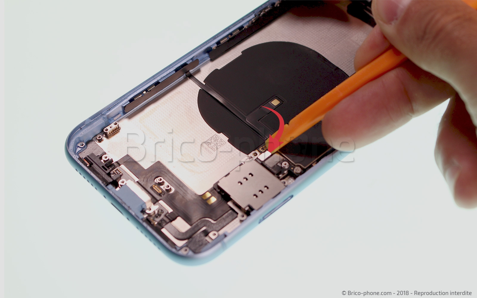 Démontage complet  sur iPhone XR photo 2