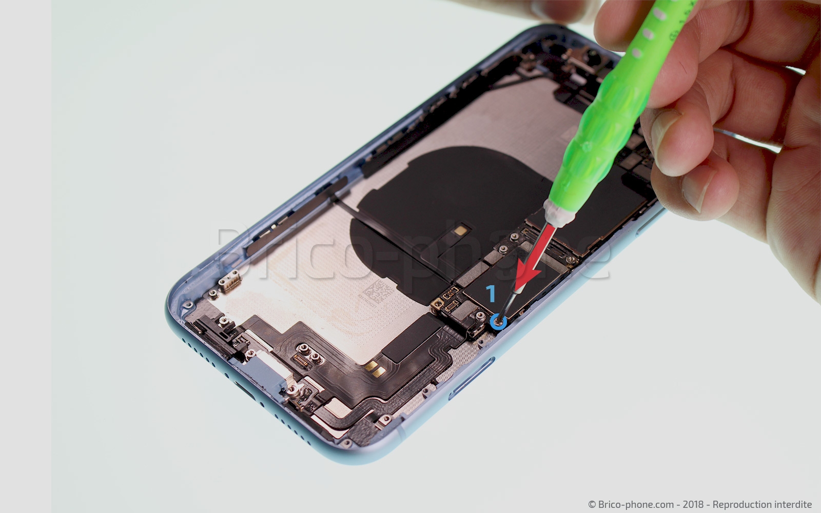 Démontage complet  sur iPhone XR photo 1