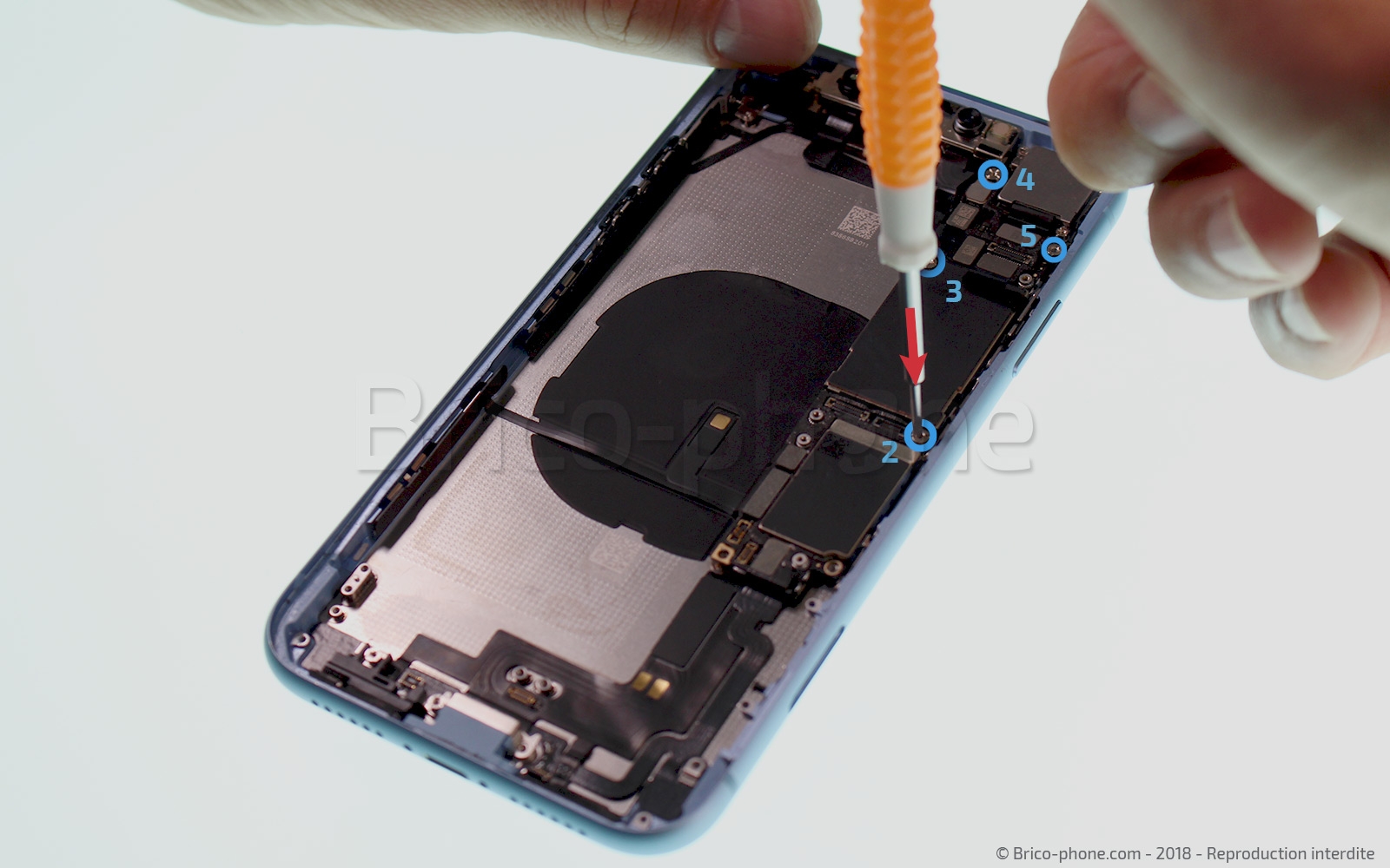 Démontage complet  sur iPhone XR photo 2