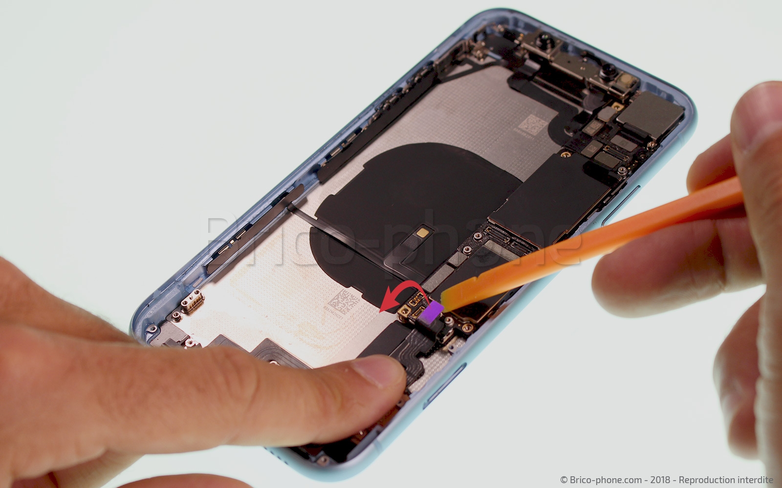 Démontage complet  sur iPhone XR photo 1