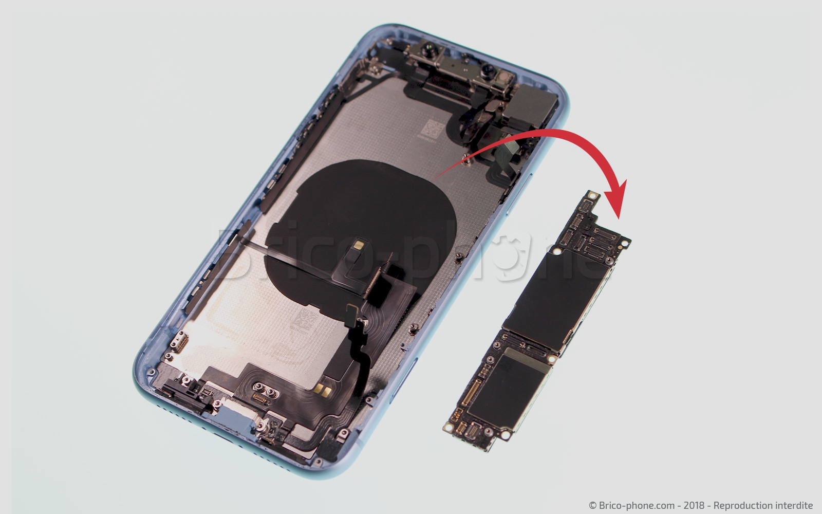 Démontage complet  sur iPhone XR photo 2