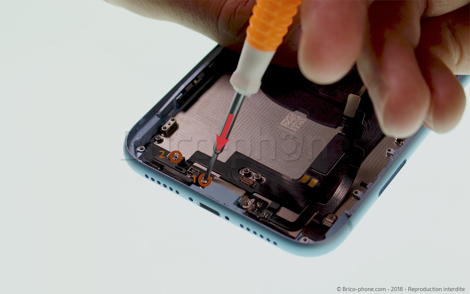 Démontage complet  sur iPhone XR photo 1