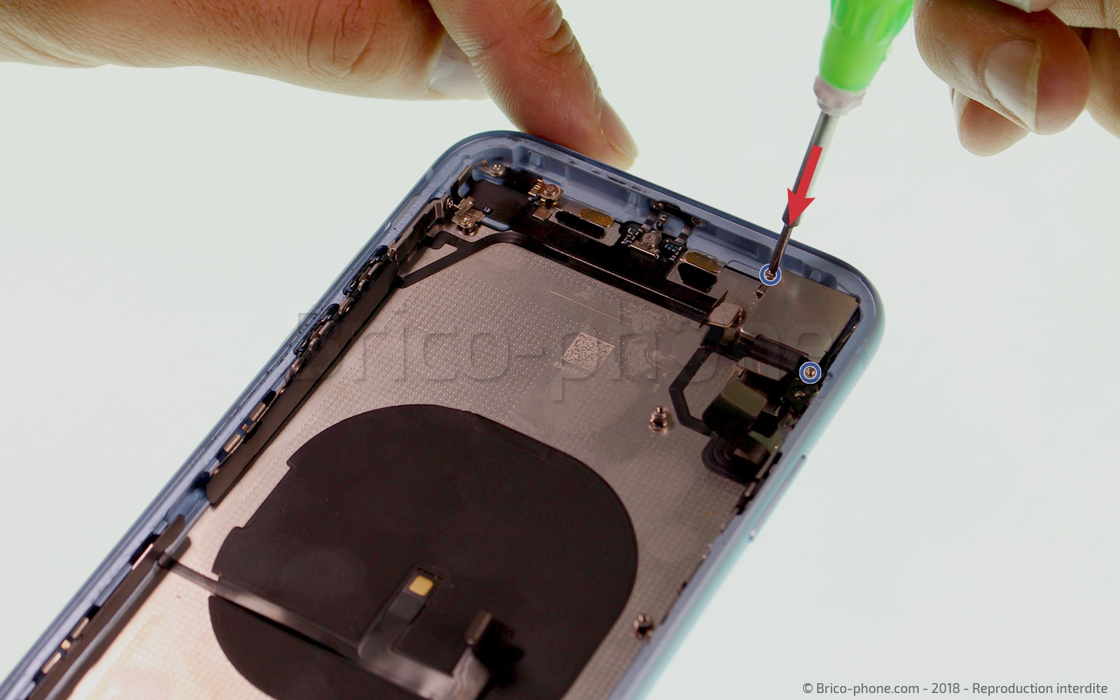 Démontage complet  sur iPhone XR photo 1