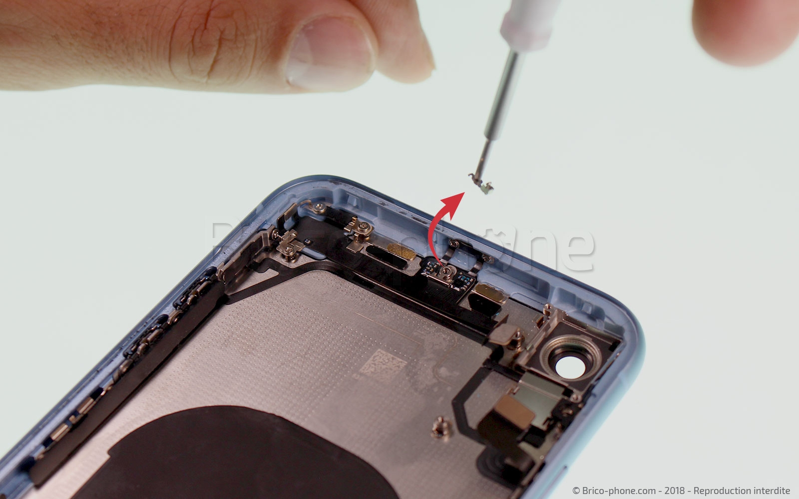 Démontage complet  sur iPhone XR photo 2