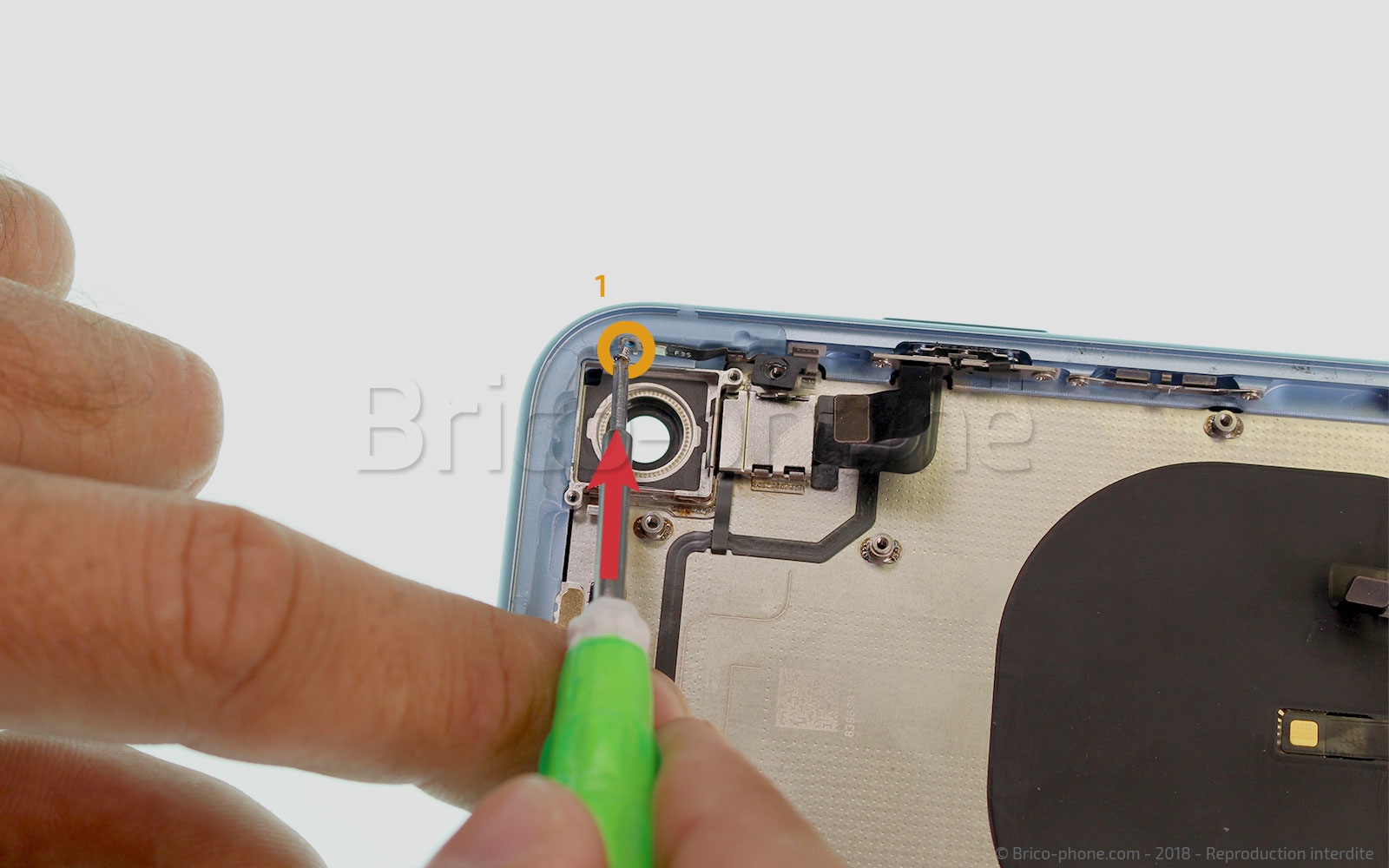 Démontage complet  sur iPhone XR photo 1