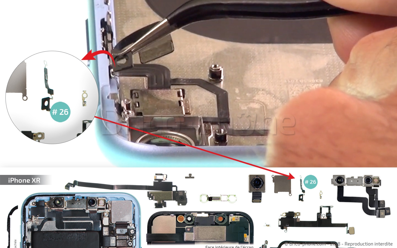 Démontage complet  sur iPhone XR photo 2