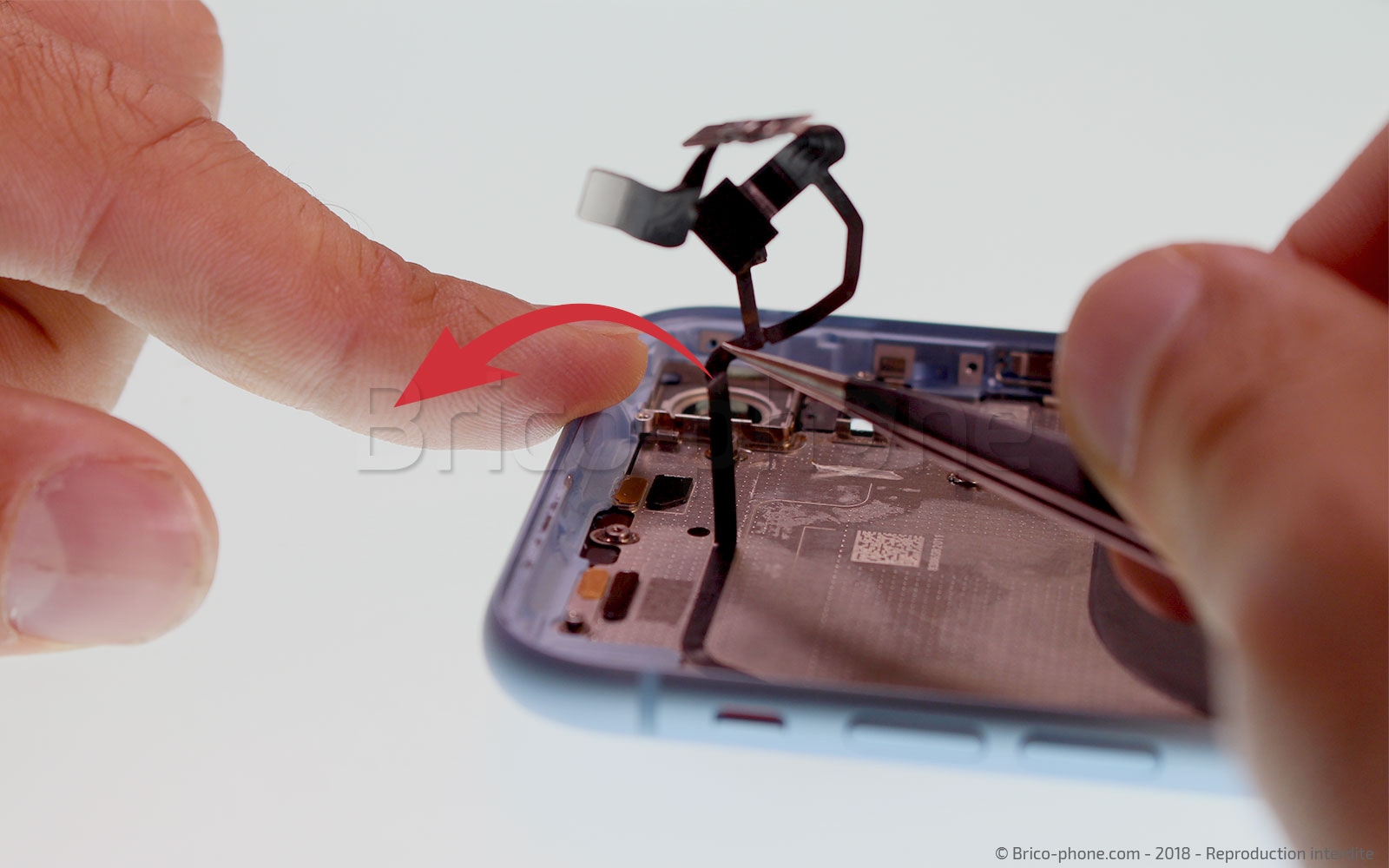 Démontage complet  sur iPhone XR photo 1