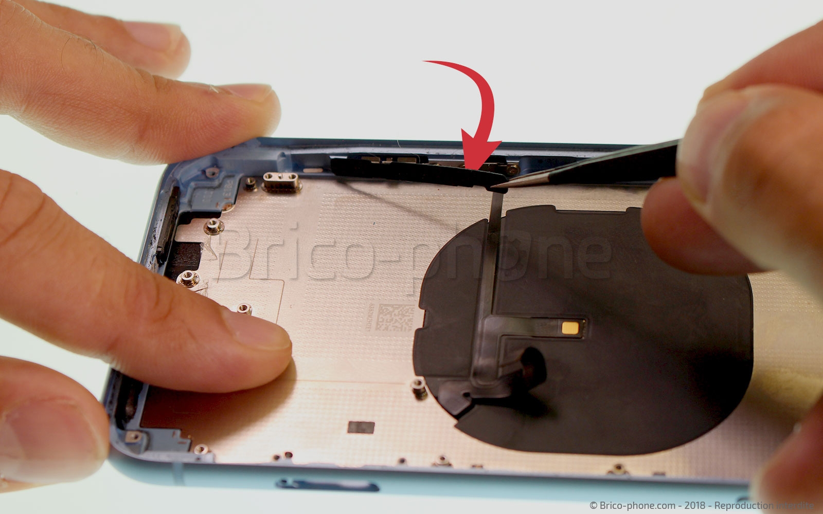 Démontage complet  sur iPhone XR photo 1
