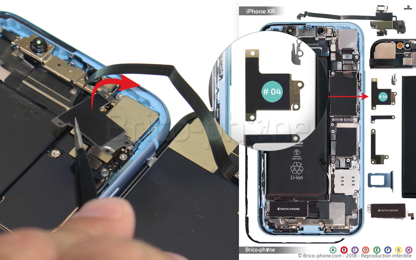 Démontage complet  sur iPhone XR photo 4