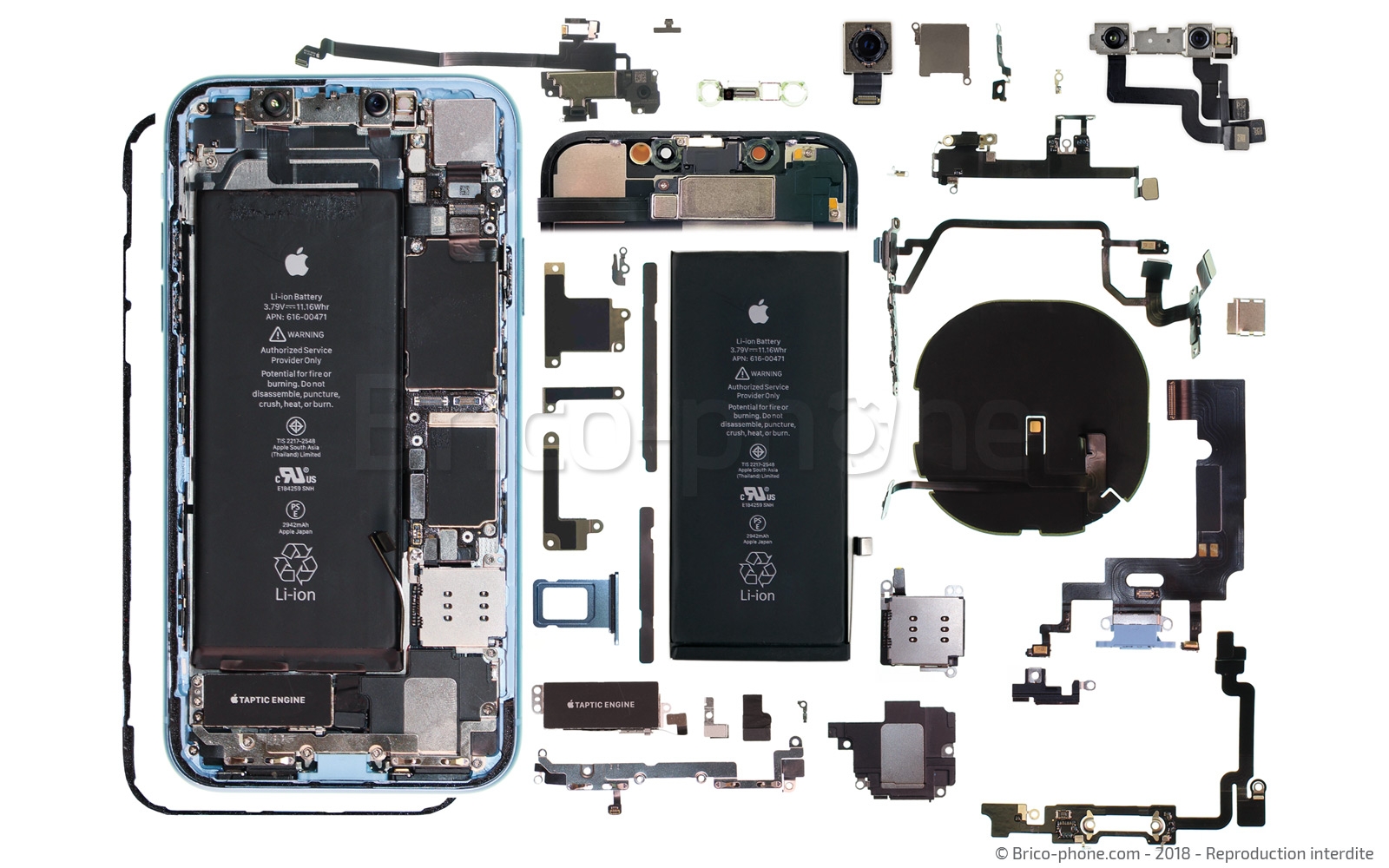 Démontage complet  sur iPhone XR photo 1