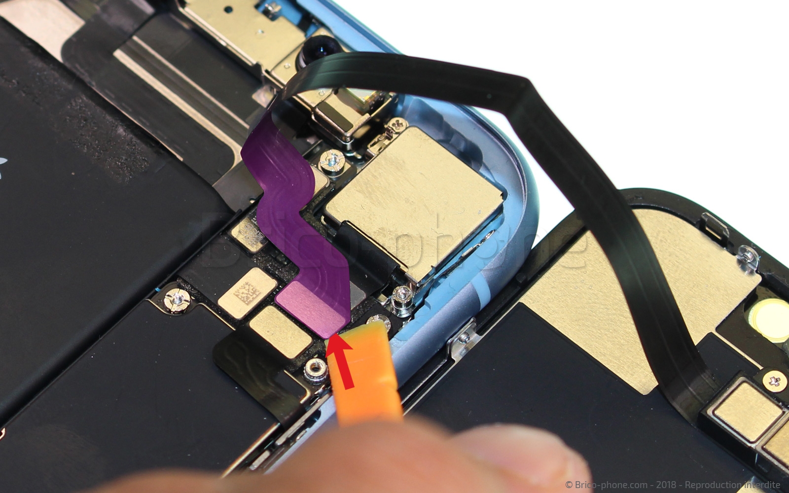 Démontage complet  sur iPhone XR photo 1