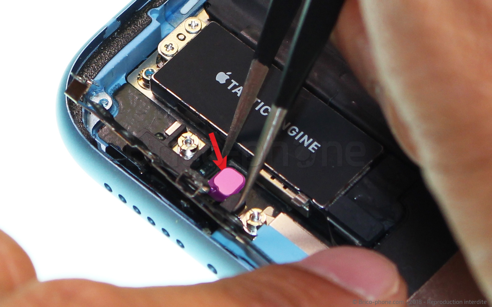 Démontage complet  sur iPhone XR photo 3