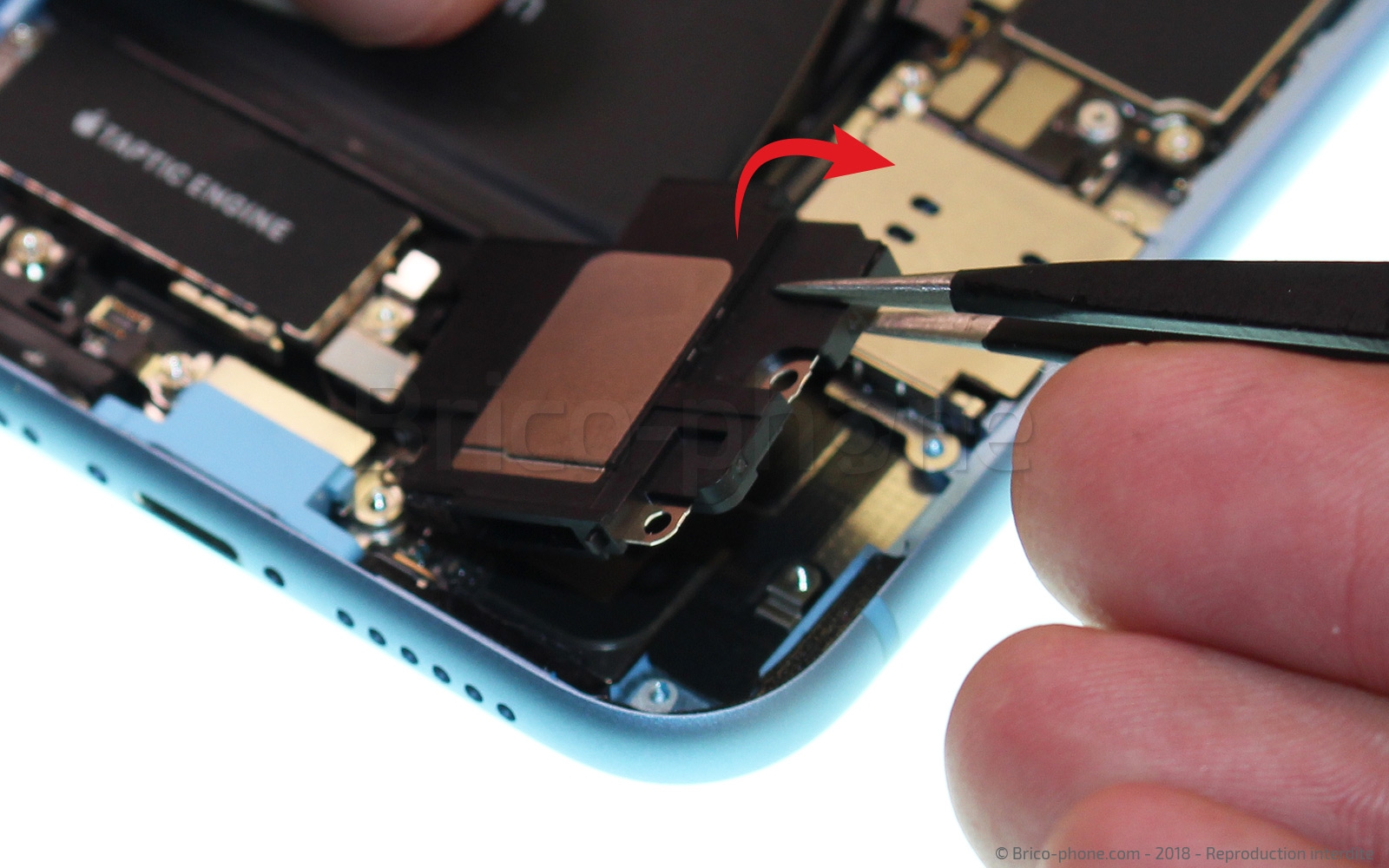 Démontage complet  sur iPhone XR photo 3