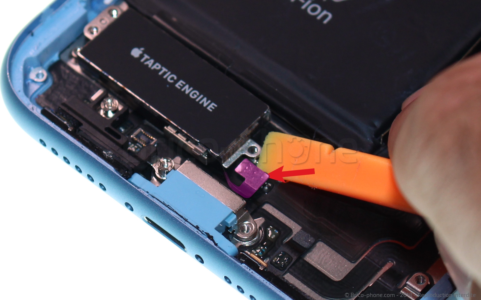 Démontage complet  sur iPhone XR photo 1