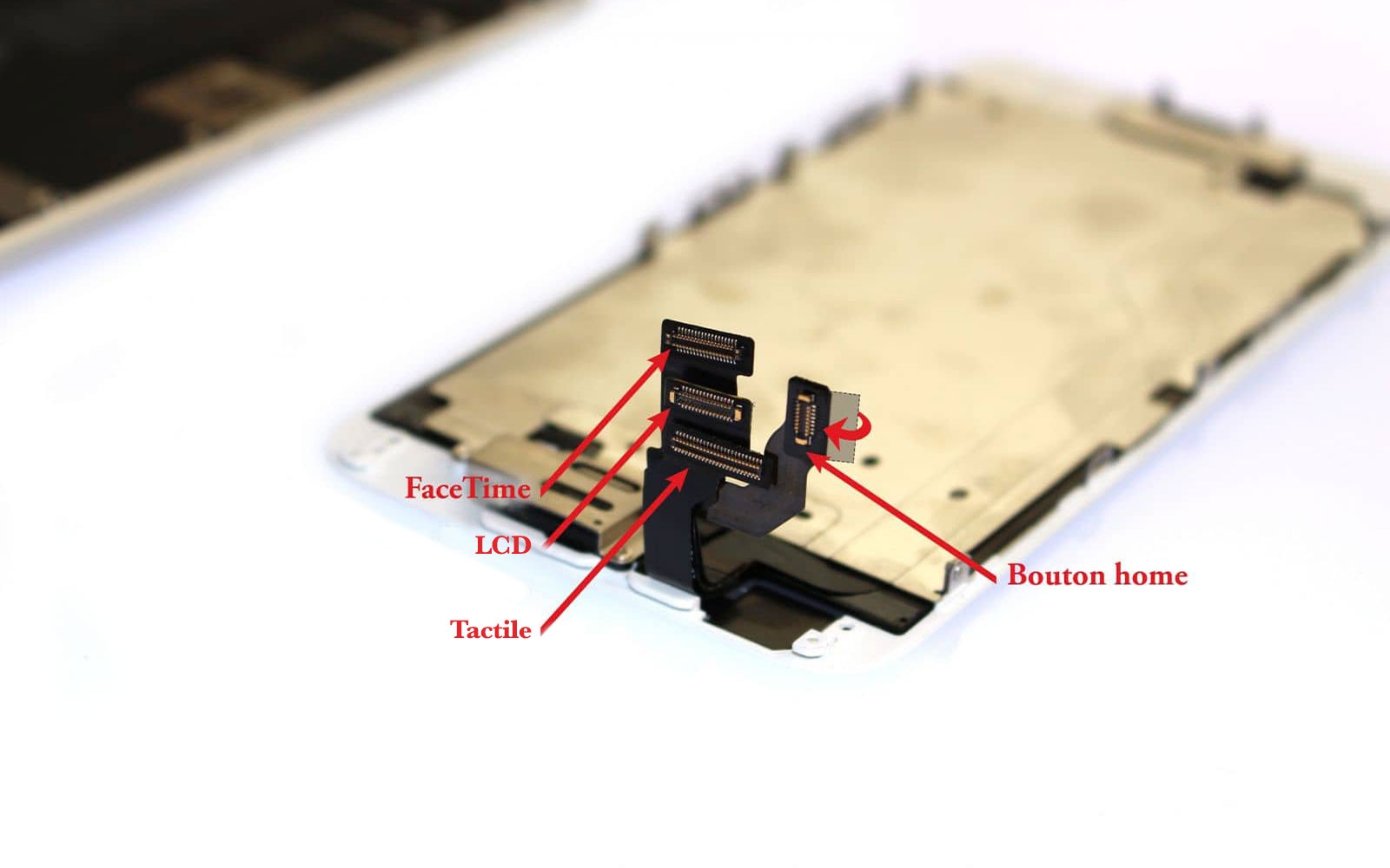 Changement de nappe caméra avant Facetime sur iPhone 6 photo 1