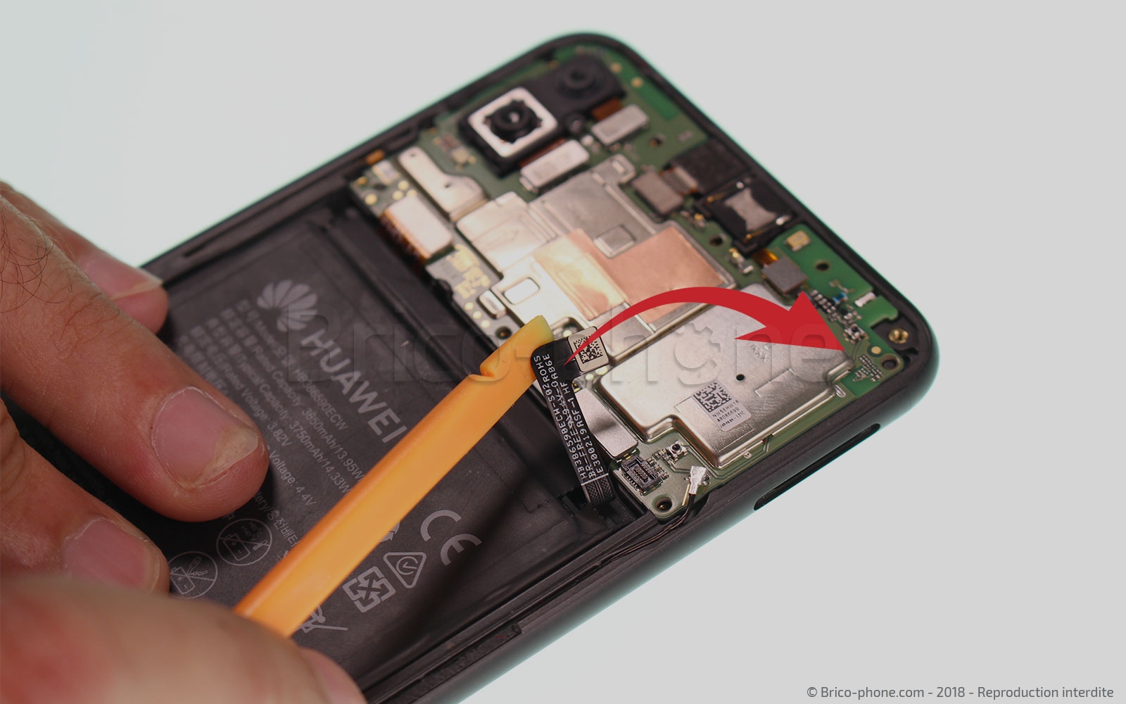 Démontage complet sur Honor 8X photo 2