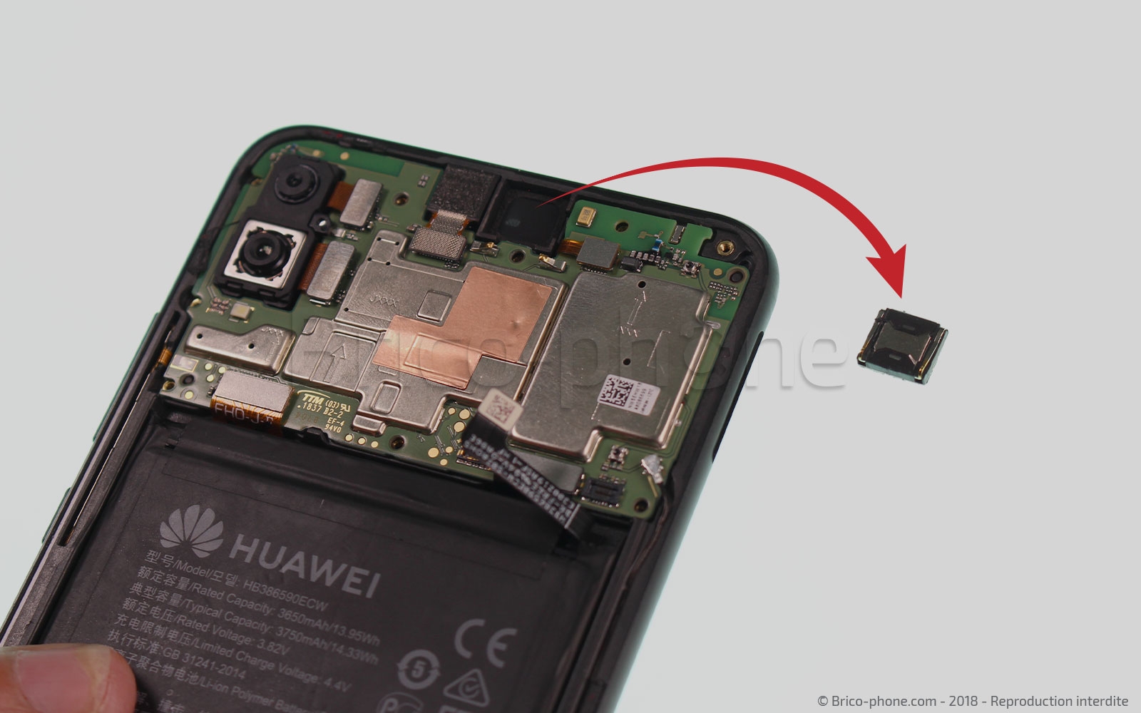 Changement du haut-parleur interne sur Honor 8X photo 3