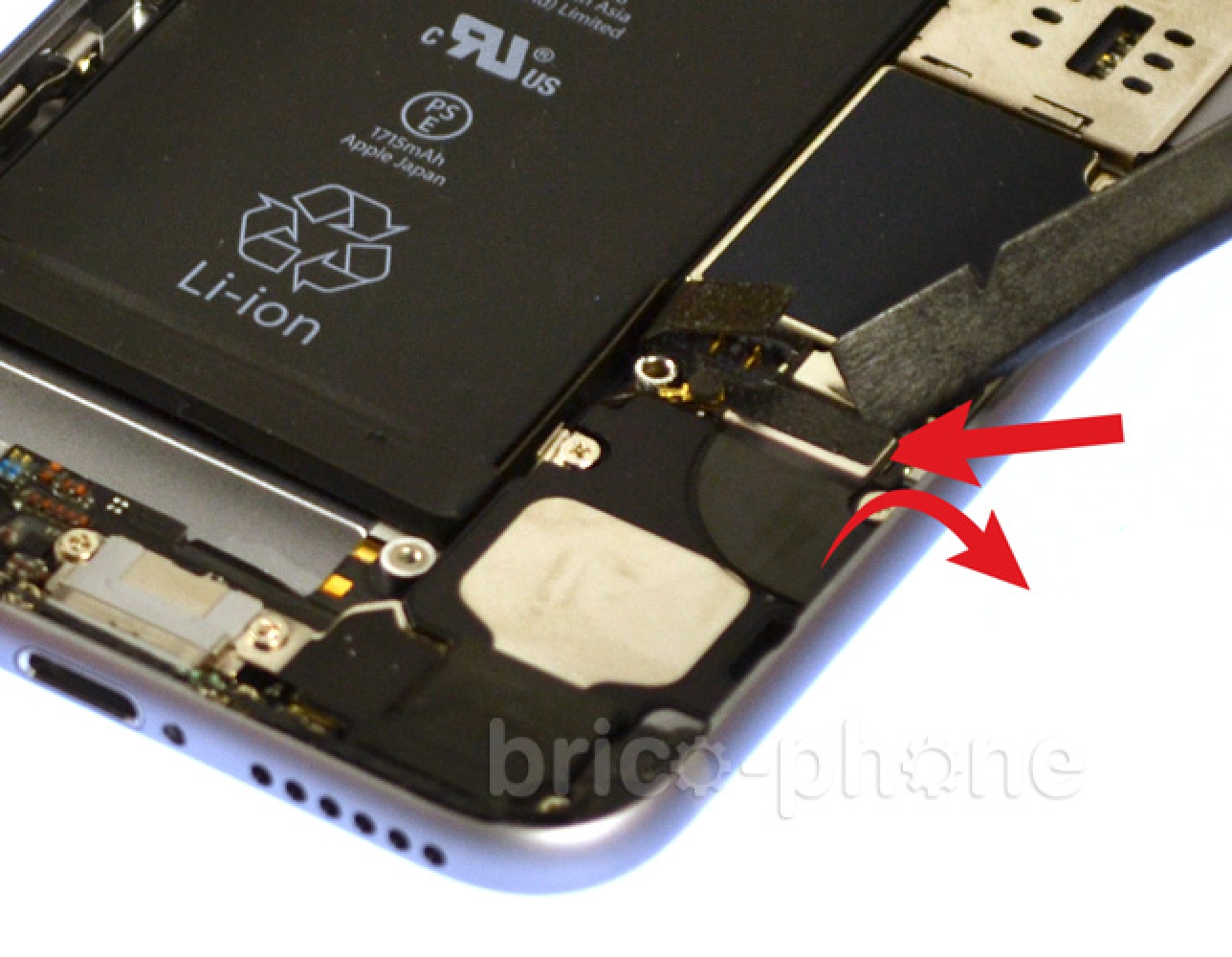 Changement du haut-parleur externe sur iPhone 6S photo 2