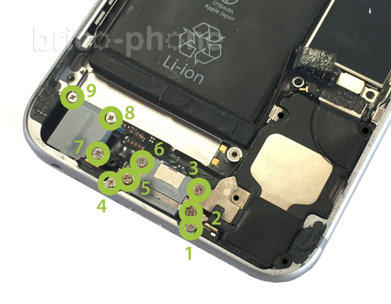 Changement du haut-parleur externe sur iPhone 6S photo 1