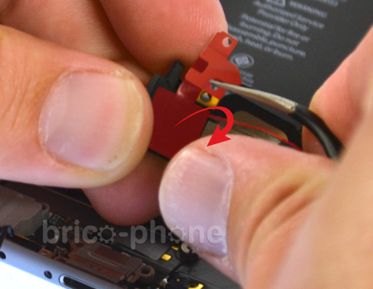 Changement du haut-parleur externe sur iPhone 6S photo 2