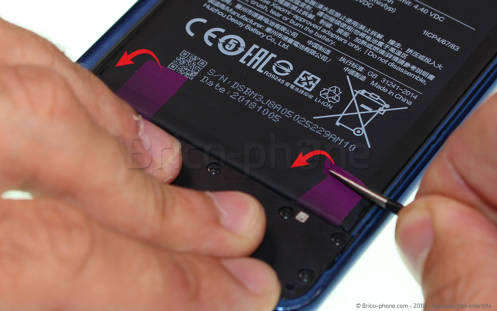 Démontage complet sur Mi 8 Lite photo 1