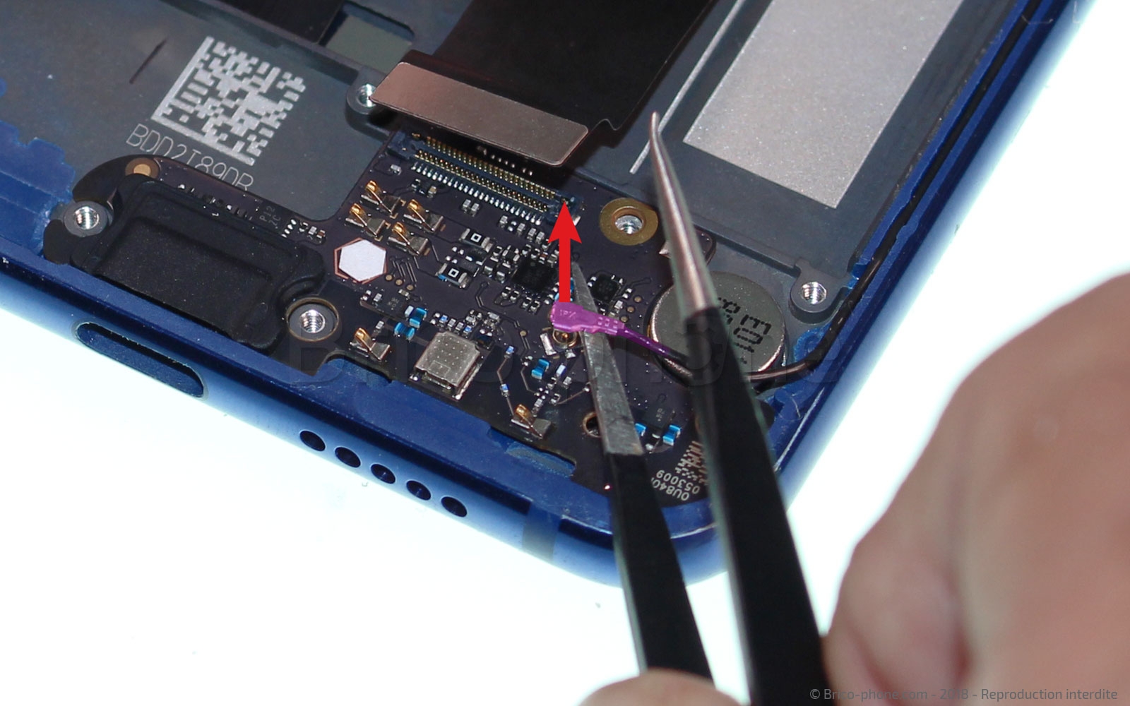 Démontage complet sur Mi 8 Lite photo 3