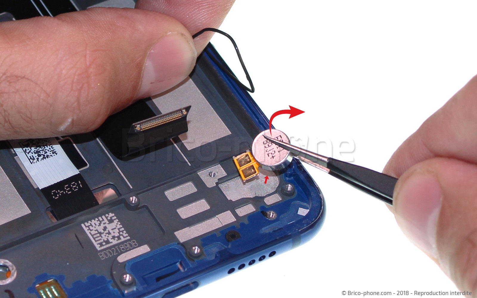 Démontage complet sur Mi 8 Lite photo 1