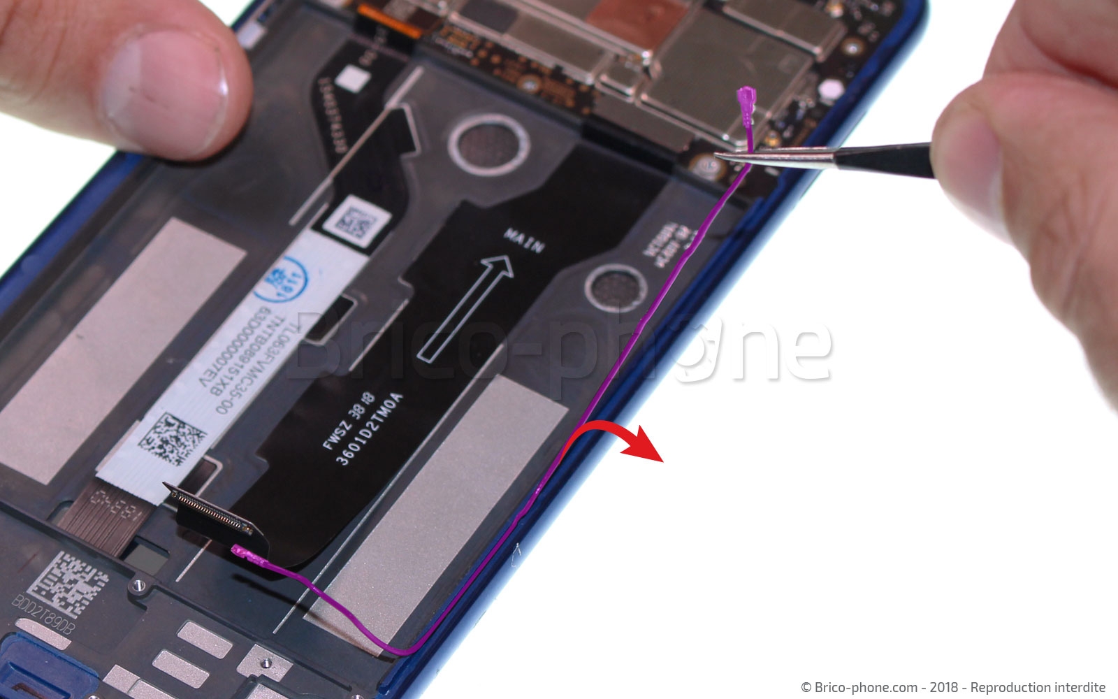 Démontage complet sur Mi 8 Lite photo 2