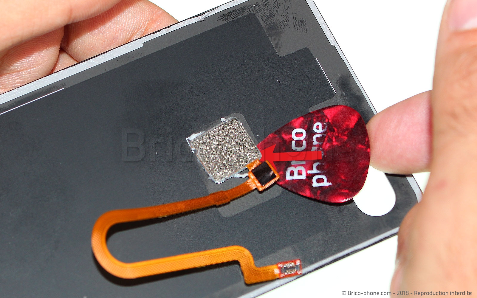 Changement de lecteur d'empreintes sur Mi 8 Lite photo 2