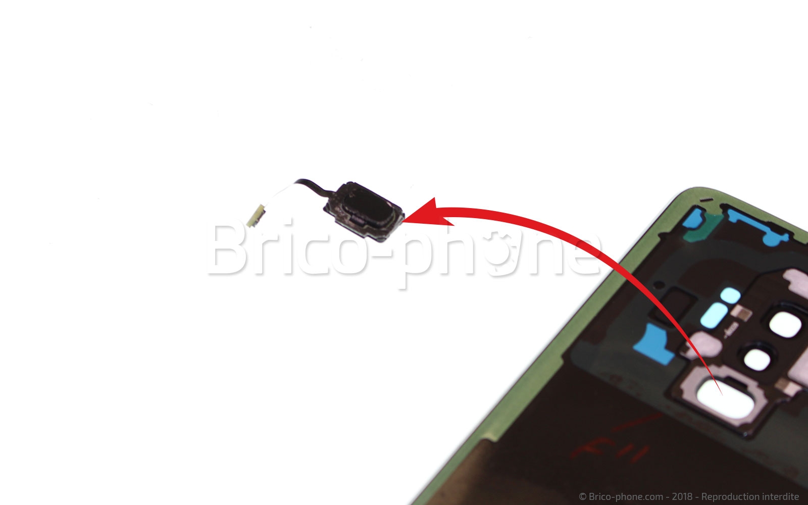Changement de vitre arrière sur Galaxy S9 Plus photo 3