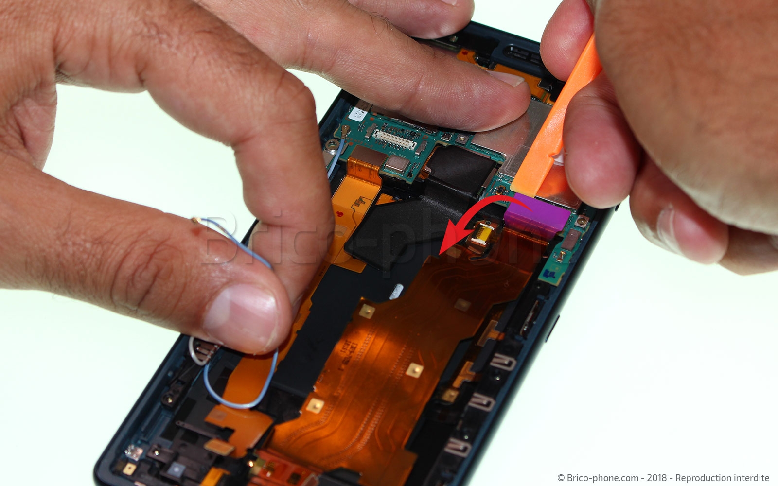 Changement de nappe power / volume sur Xperia XZ2 photo 1