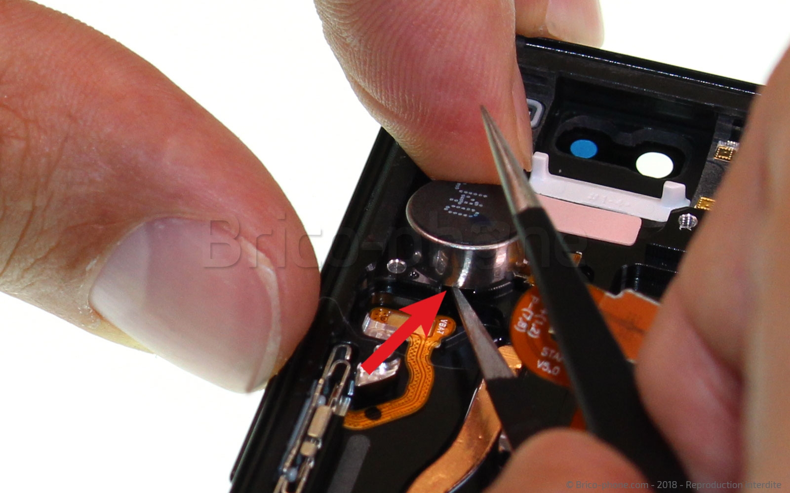 Démontage complet sur Galaxy S9 photo 1