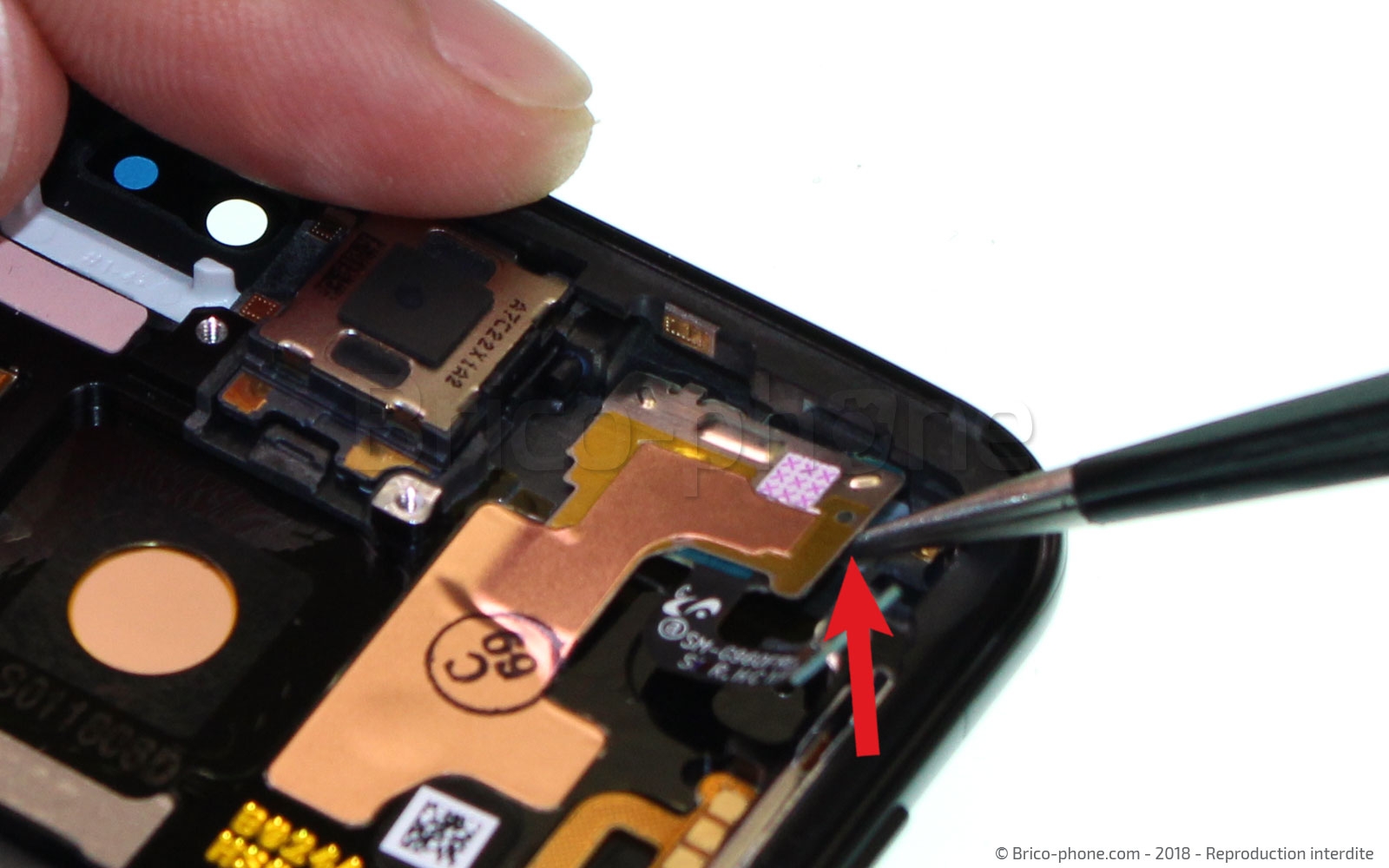 Démontage complet sur Galaxy S9 photo 1