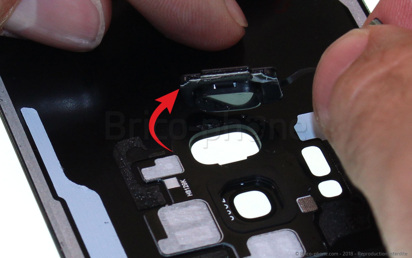 Démontage complet sur Galaxy S9 photo 3