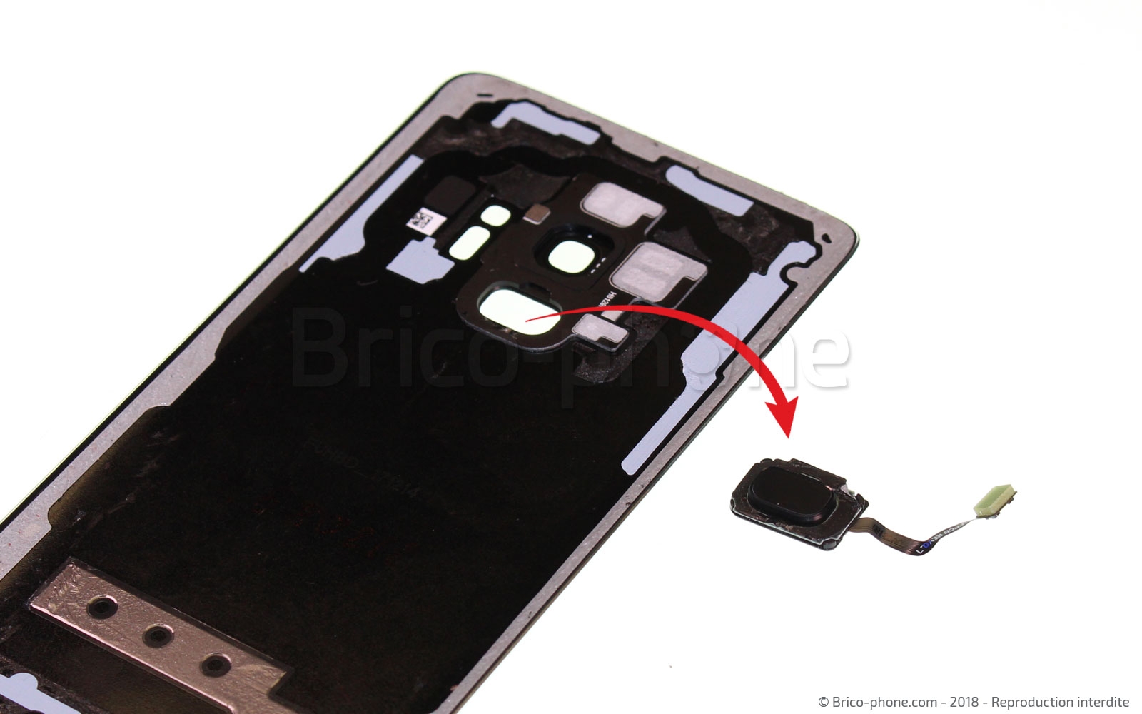 Démontage complet sur Galaxy S9 photo 4