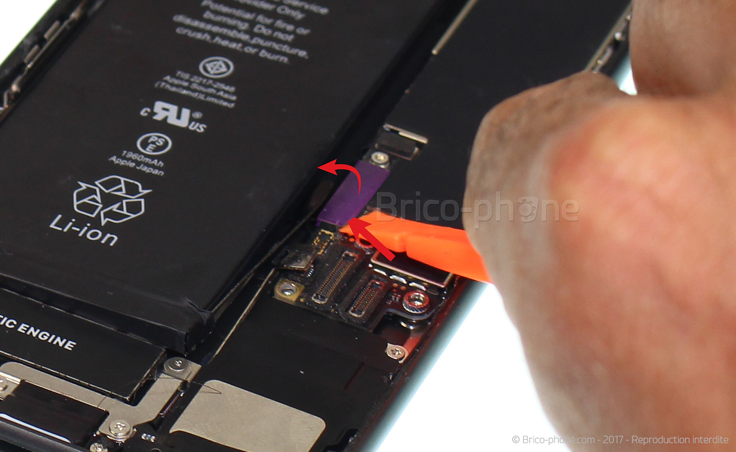 Changement du connecteur de charge sur iPhone 8 photo 1