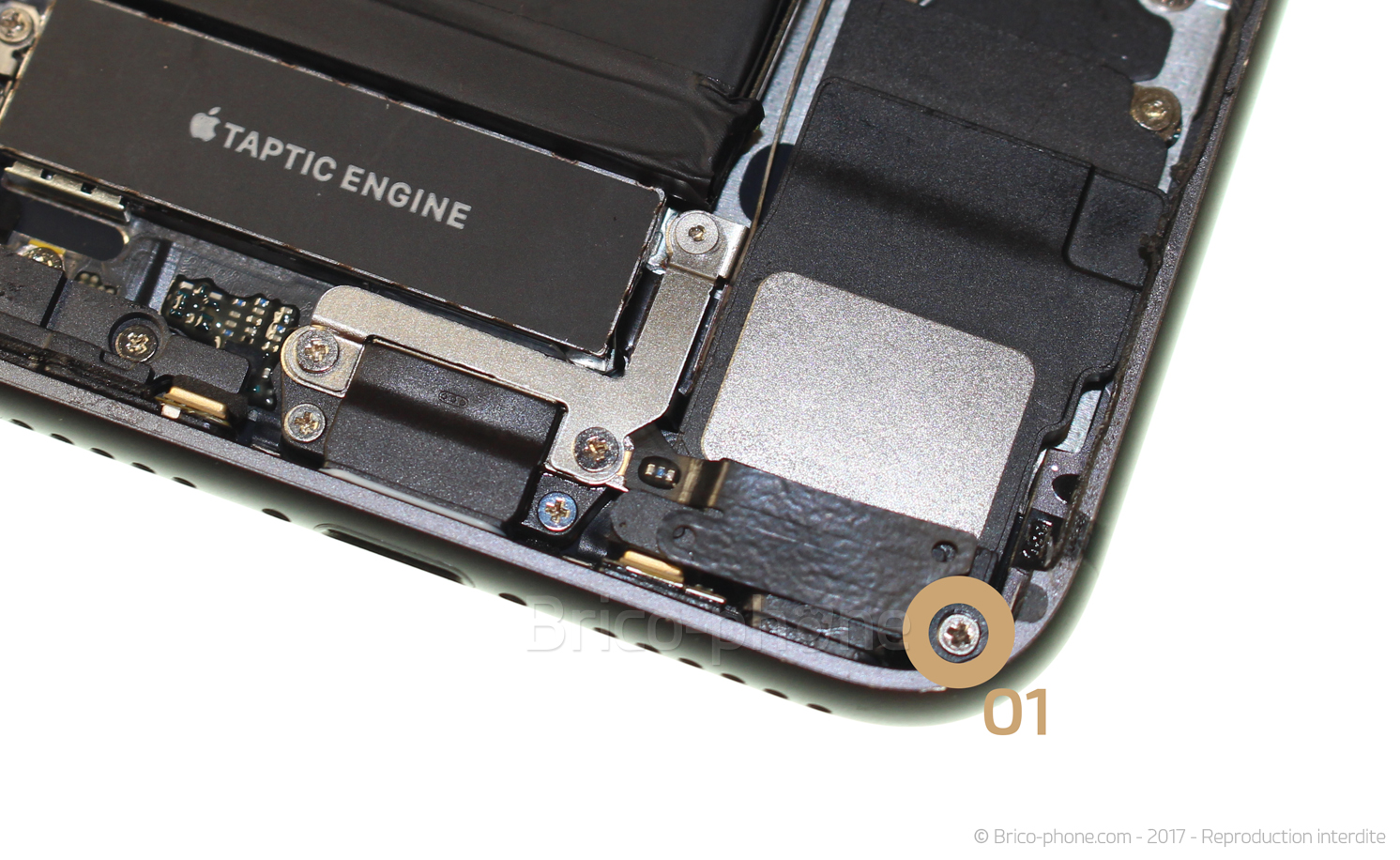 Changement du connecteur de charge sur iPhone 8 photo 1