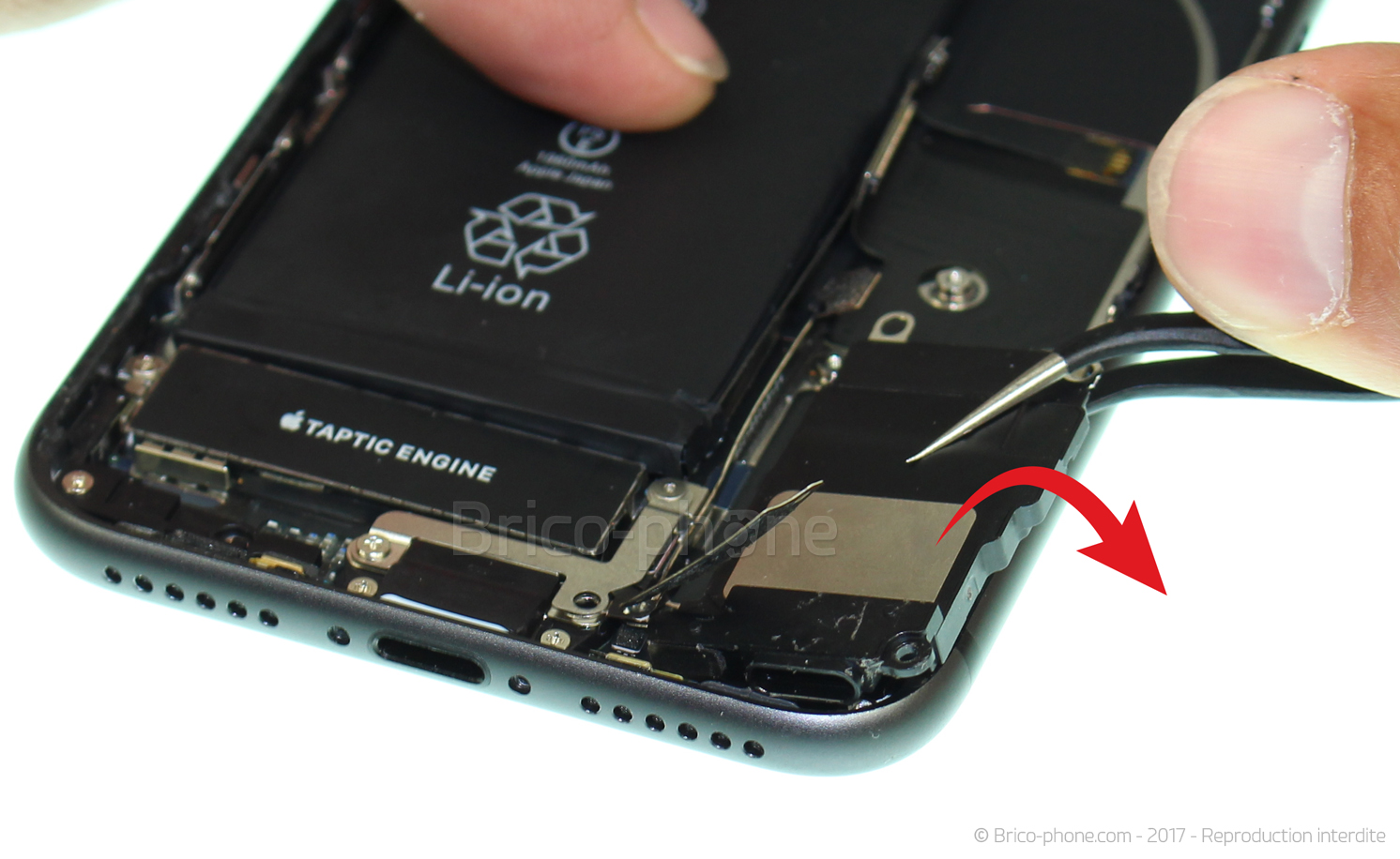 Changement du connecteur de charge sur iPhone 8 photo 3