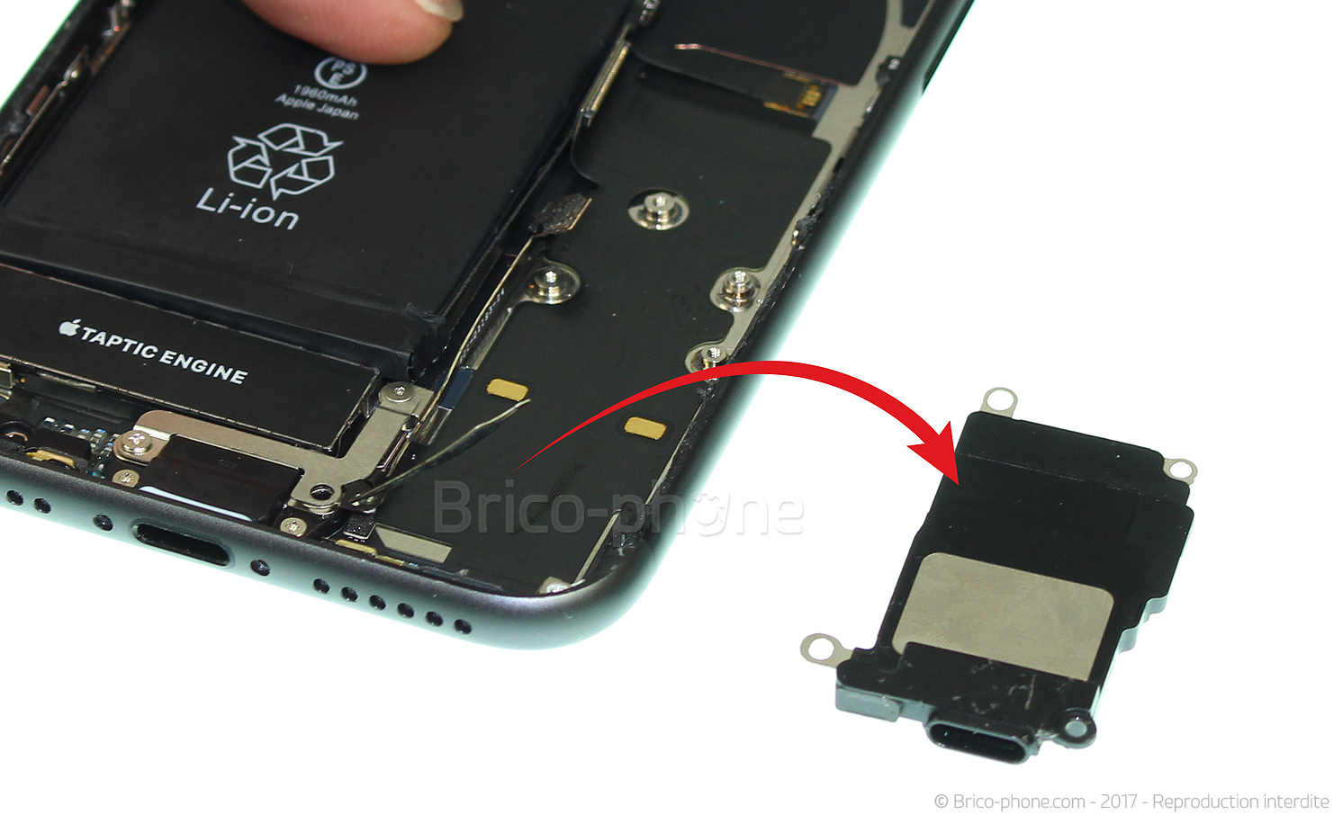 Changement du connecteur de charge sur iPhone 8 photo 4