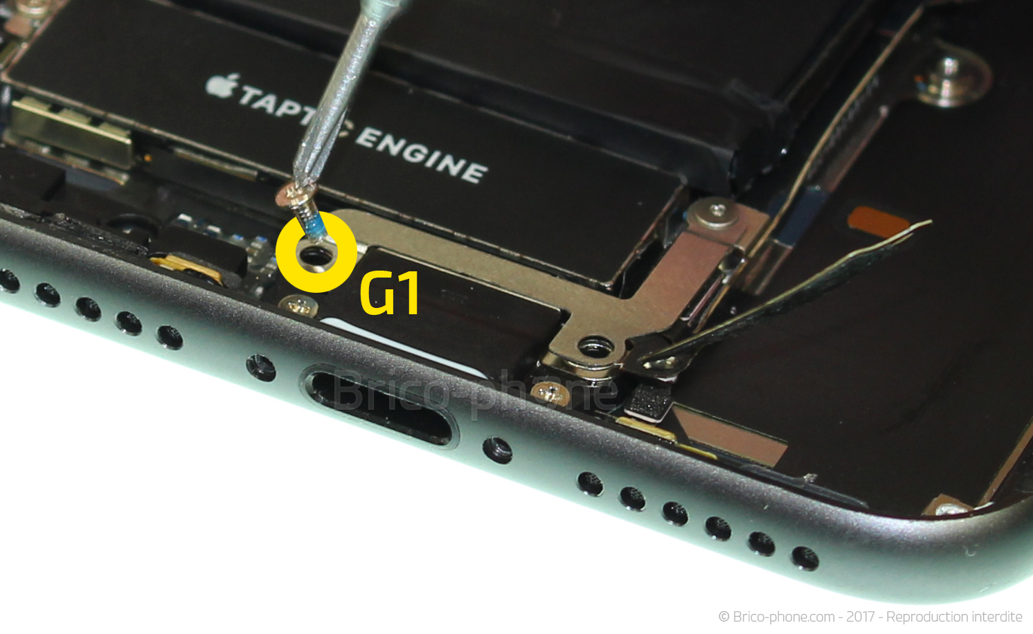 Changement du connecteur de charge sur iPhone 8 photo 1